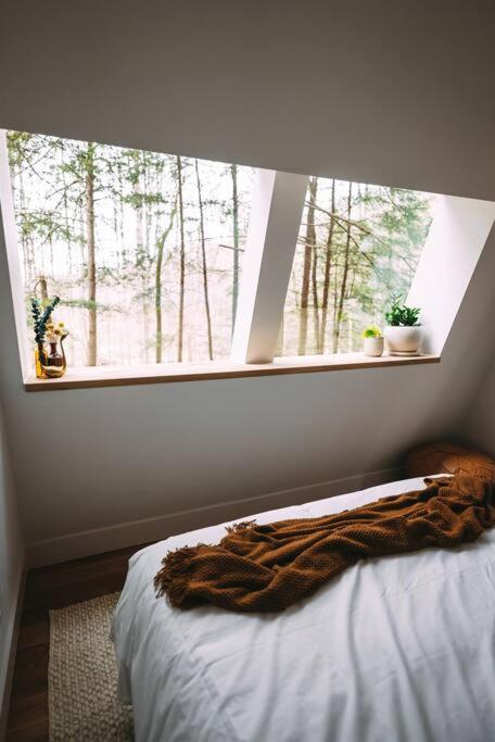 Dunlap Hollow A-Frame Rockbridge Εξωτερικό φωτογραφία