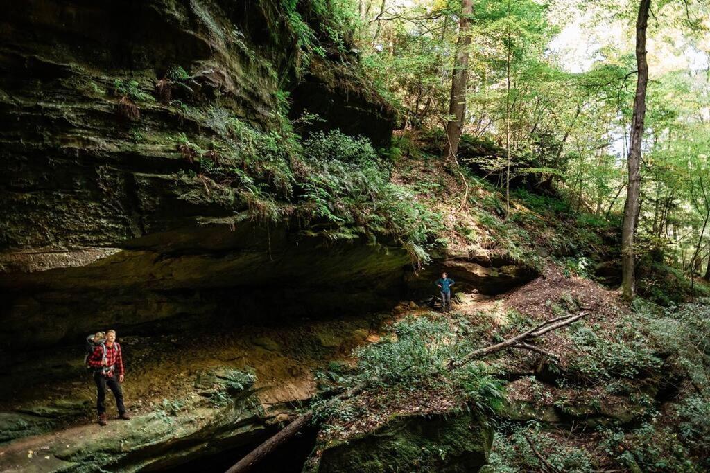 Dunlap Hollow A-Frame Rockbridge Εξωτερικό φωτογραφία