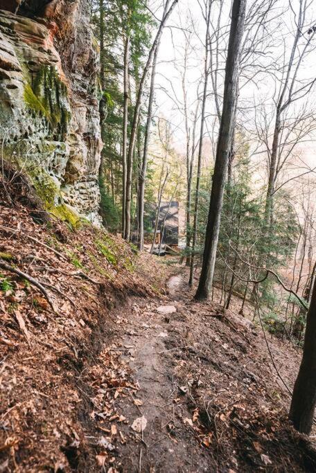 Dunlap Hollow A-Frame Rockbridge Εξωτερικό φωτογραφία