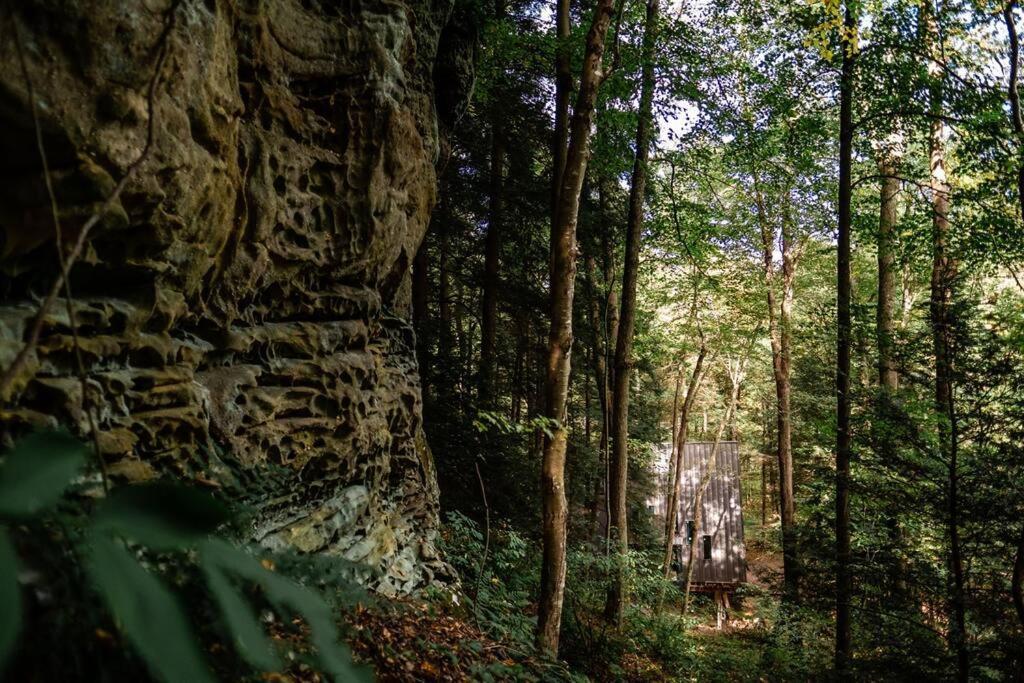 Dunlap Hollow A-Frame Rockbridge Εξωτερικό φωτογραφία