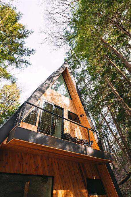 Dunlap Hollow A-Frame Rockbridge Εξωτερικό φωτογραφία