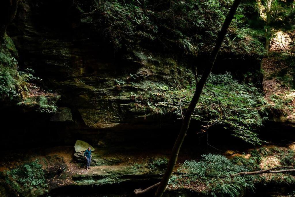 Dunlap Hollow A-Frame Rockbridge Εξωτερικό φωτογραφία